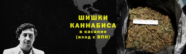 ГАЛЛЮЦИНОГЕННЫЕ ГРИБЫ Покровск