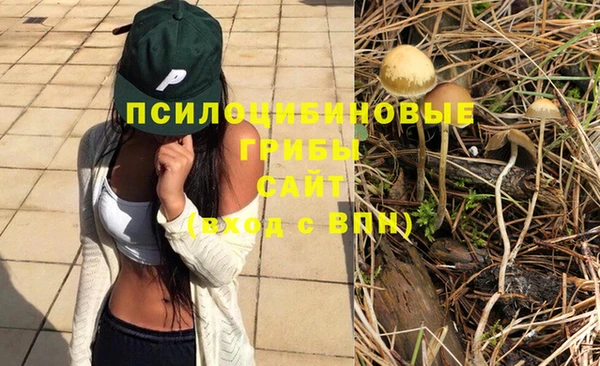 дживик Алексеевка