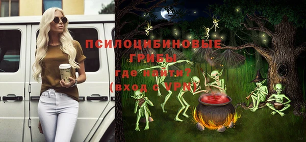 дживик Алексеевка