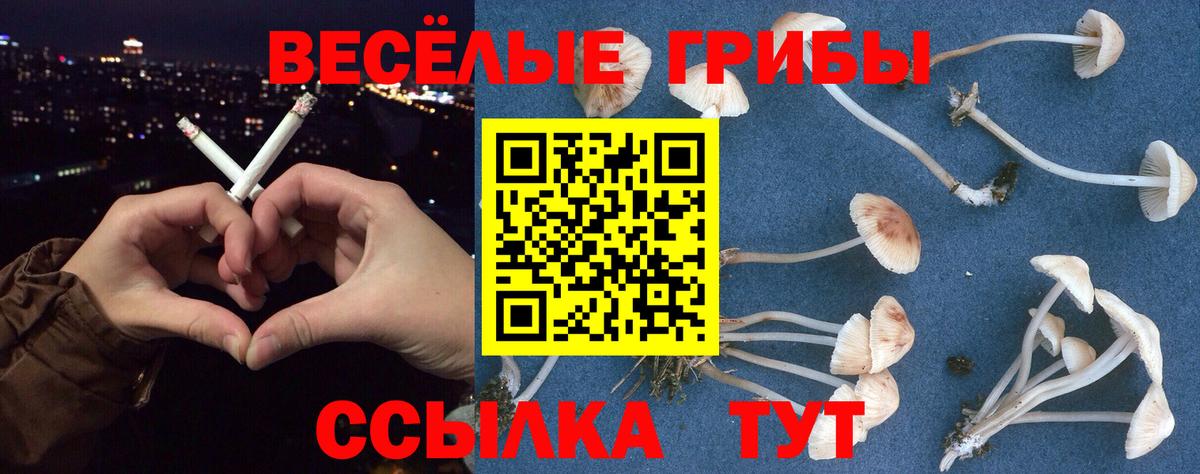 Псилоцибиновые грибы MAGIC MUSHROOMS Махачкала