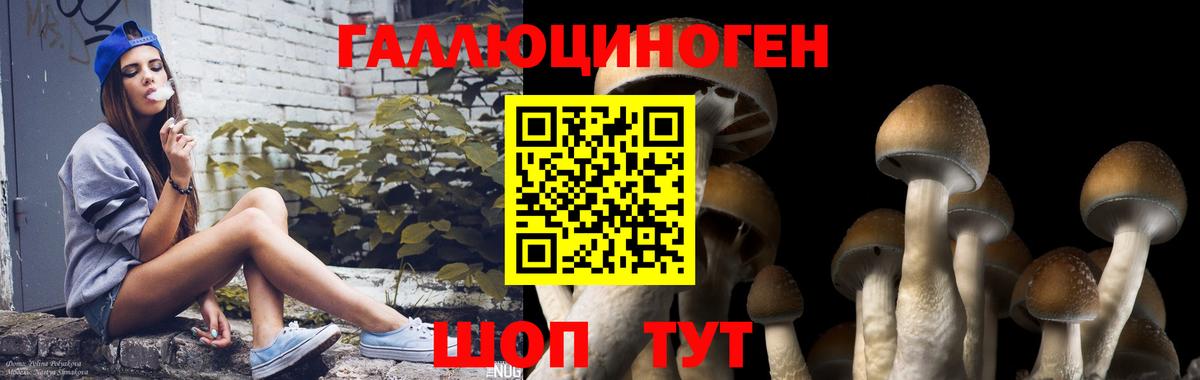 Галлюциногенные грибы мицелий  Вход с VPN  Махачкала  Псилоцибиновые грибы ЛСД 